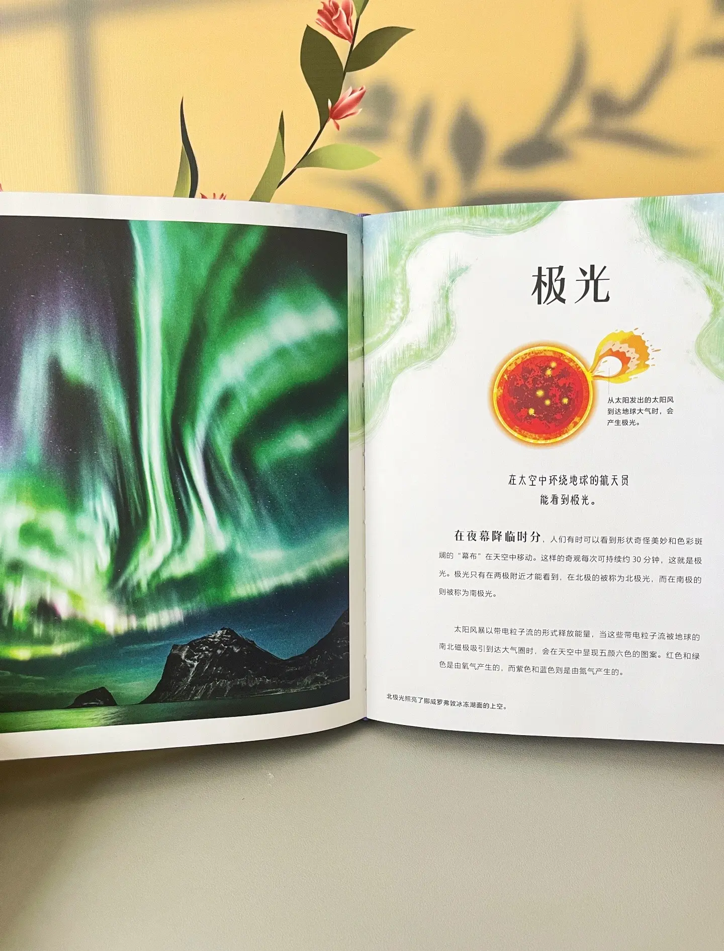 必看科普“够级上山能挂王吗”的确是有挂-第1张图片