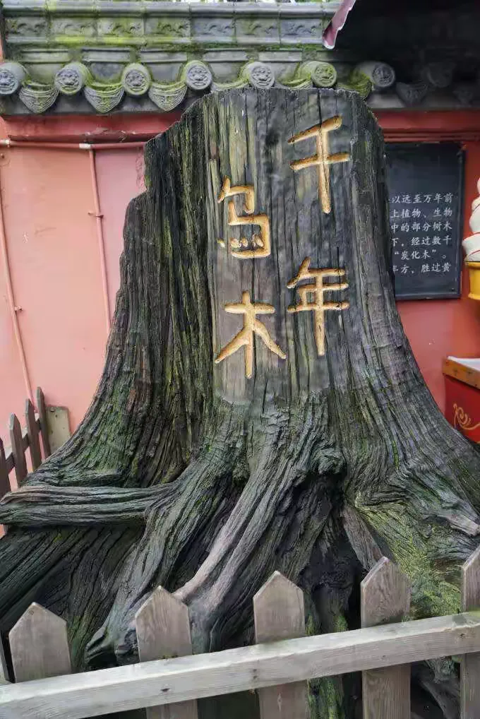 教程指点“中至万年开挂神器”附开挂脚本详细-第1张图片