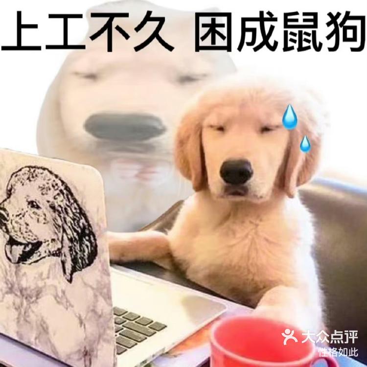 玩家点评“哈狗游十三道开挂教程	”分享装挂步骤-第1张图片