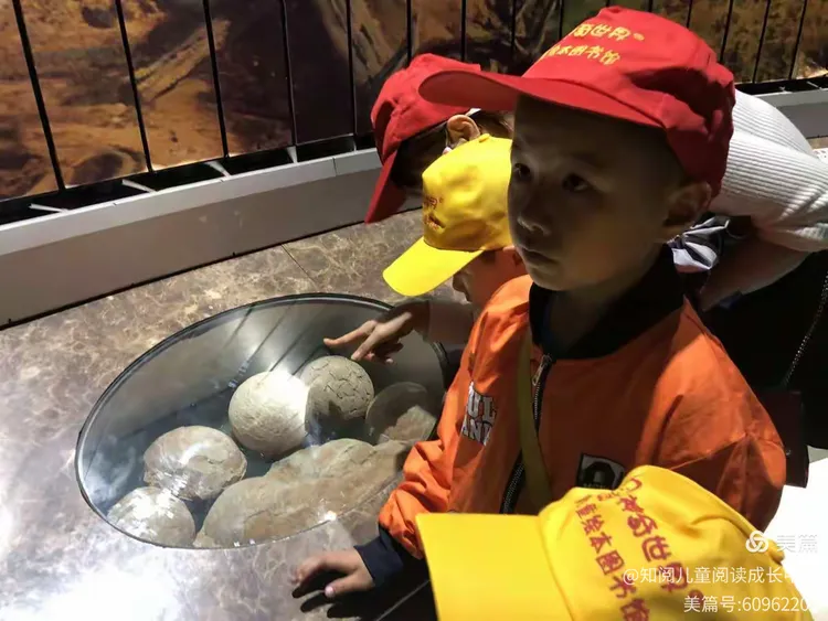 我来教教大家“皮皮跑胡子老输,有挂吗”的确是有挂-第1张图片