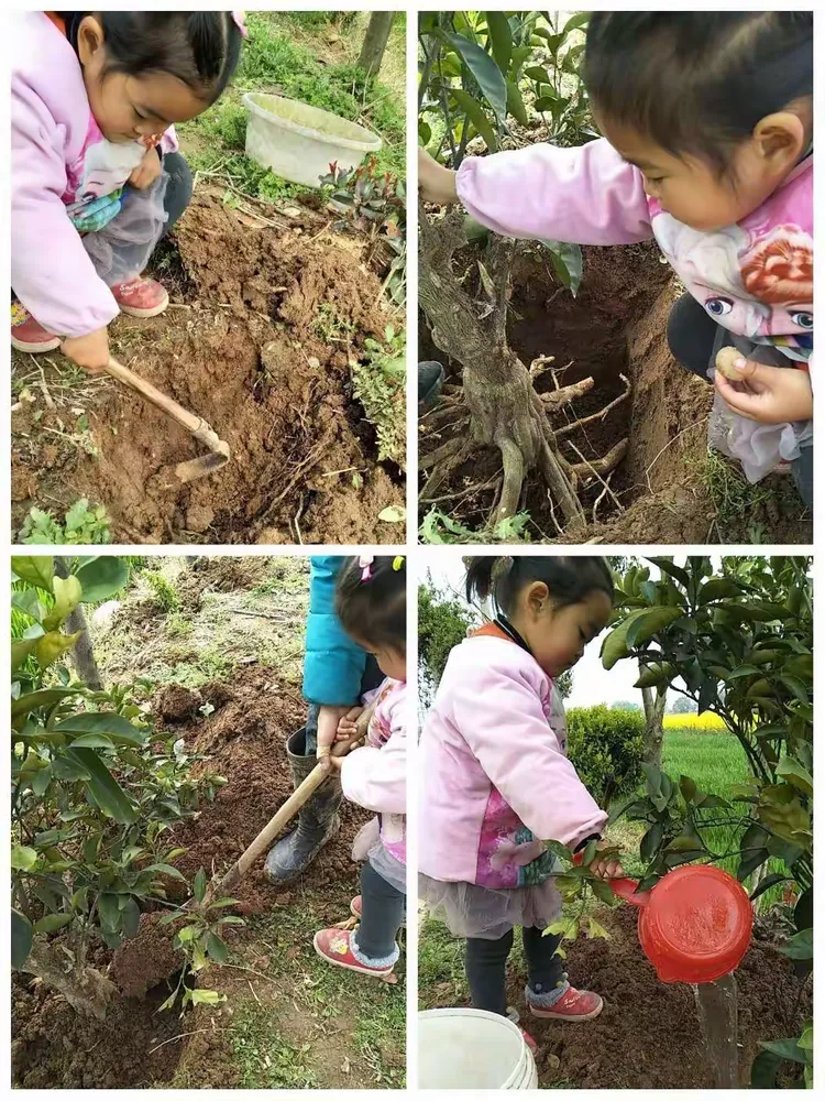 我来教教大家“皮皮跑胡子老输,有挂吗”的确是有挂-第2张图片