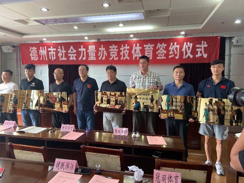 传递经验“竞技联盟德州辅助器”实际有挂-第2张图片