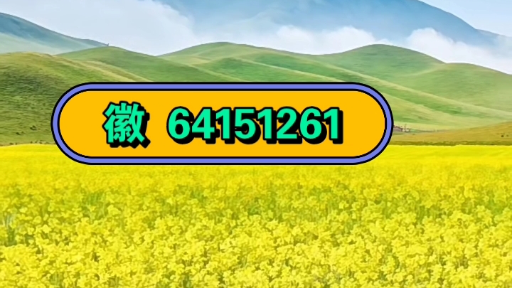 强力推荐“wepoker能不能透视”(确实能开挂)-第1张图片