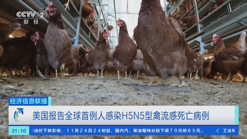 “美国单日新增确诊病例逾2.5万例” 美国单日新增确诊逾75万例？-第1张图片