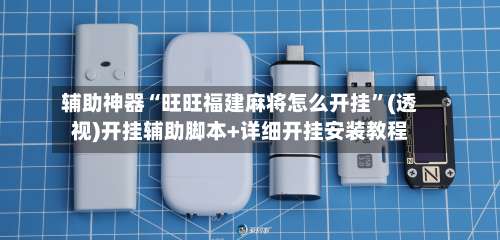 辅助神器“旺旺福建麻将怎么开挂”(透视)开挂辅助脚本+详细开挂安装教程-第1张图片