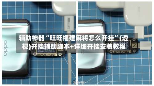 辅助神器“旺旺福建麻将怎么开挂	”(透视)开挂辅助脚本+详细开挂安装教程-第2张图片