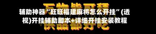 辅助神器“旺旺福建麻将怎么开挂	”(透视)开挂辅助脚本+详细开挂安装教程-第3张图片