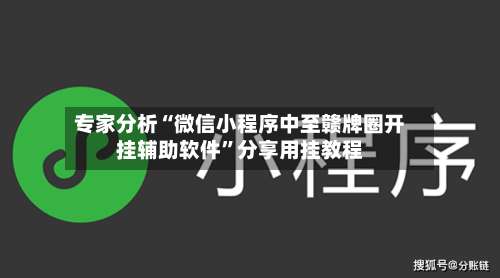 专家分析“微信小程序中至赣牌圈开挂辅助软件		”分享用挂教程-第2张图片