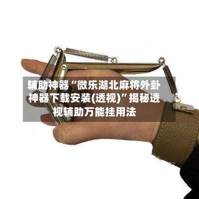 辅助神器“微乐湖北麻将外卦神器下载安装(透视)	”揭秘透视辅助万能挂用法-第1张图片