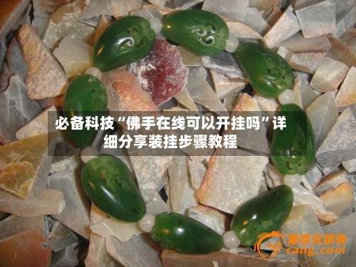 必备科技“佛手在线可以开挂吗		”详细分享装挂步骤教程-第2张图片