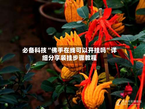 必备科技“佛手在线可以开挂吗”详细分享装挂步骤教程-第3张图片