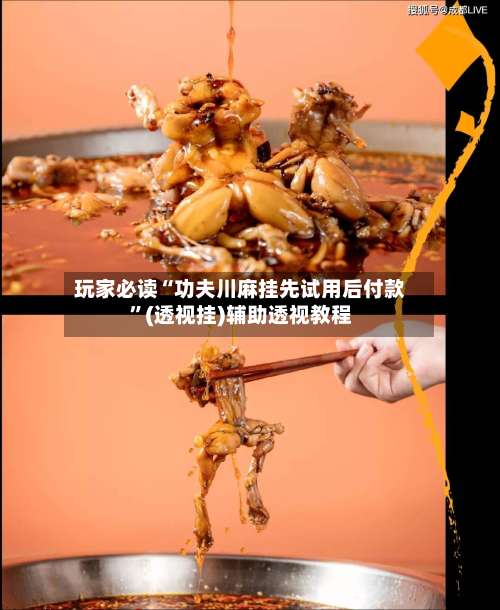 玩家必读“功夫川麻挂先试用后付款”(透视挂)辅助透视教程-第1张图片
