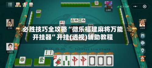 必胜技巧全攻略“微乐福建麻将万能开挂器”开挂(透视)辅助教程-第3张图片
