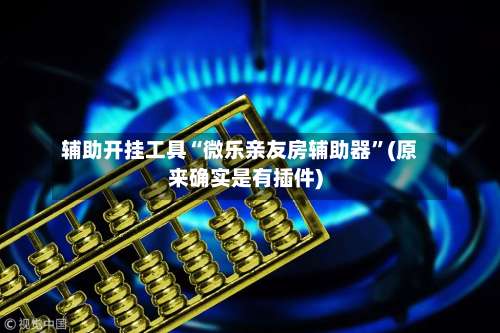 辅助开挂工具“微乐亲友房辅助器	”(原来确实是有插件)-第3张图片