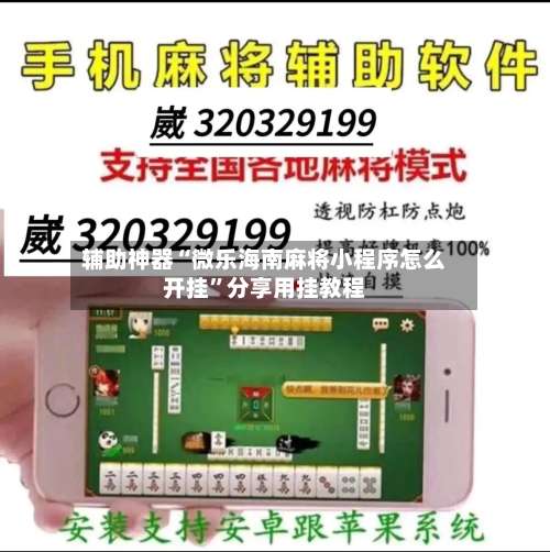 辅助神器“微乐海南麻将小程序怎么开挂”分享用挂教程-第1张图片