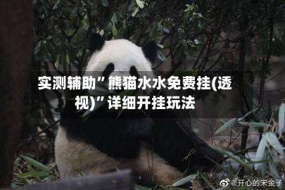 实测辅助	”熊猫水水免费挂(透视)	”详细开挂玩法-第1张图片
