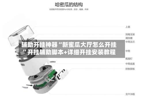 辅助开挂神器“新蜜瓜大厅怎么开挂	”开挂辅助脚本+详细开挂安装教程-第1张图片