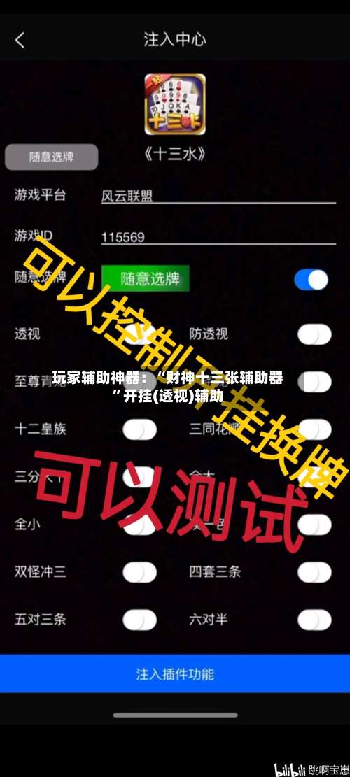 玩家辅助神器：“财神十三张辅助器”开挂(透视)辅助-第2张图片