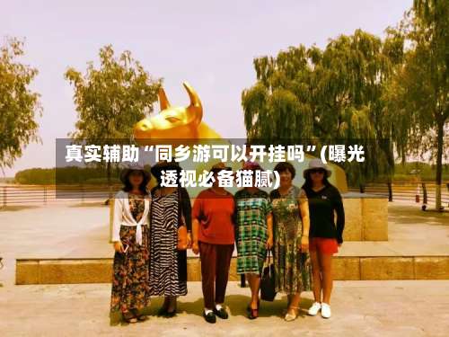 真实辅助“同乡游可以开挂吗”(曝光透视必备猫腻)-第3张图片