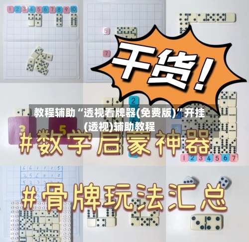 教程辅助“透视看牌器(免费版)”开挂(透视)辅助教程-第2张图片