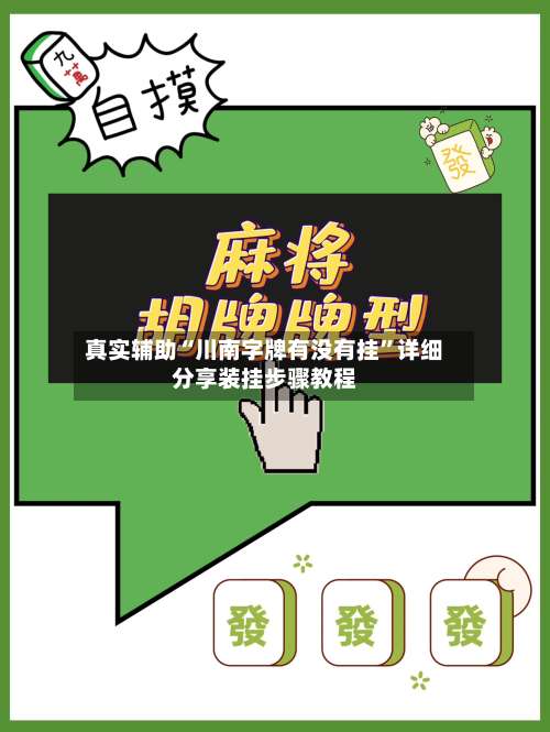 真实辅助“川南字牌有没有挂”详细分享装挂步骤教程-第2张图片
