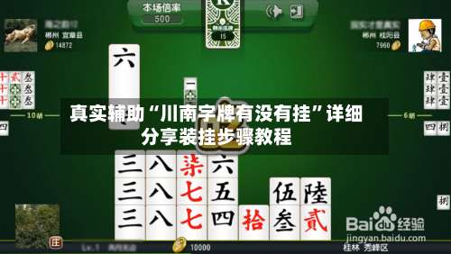 真实辅助“川南字牌有没有挂		”详细分享装挂步骤教程-第1张图片