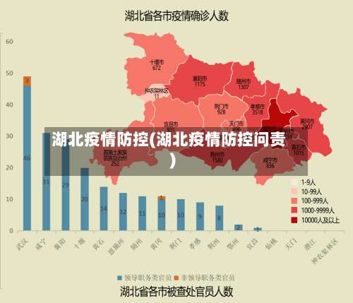 湖北疫情防控(湖北疫情防控问责)-第1张图片