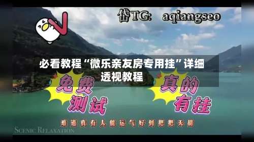必看教程“微乐亲友房专用挂	”详细透视教程-第1张图片