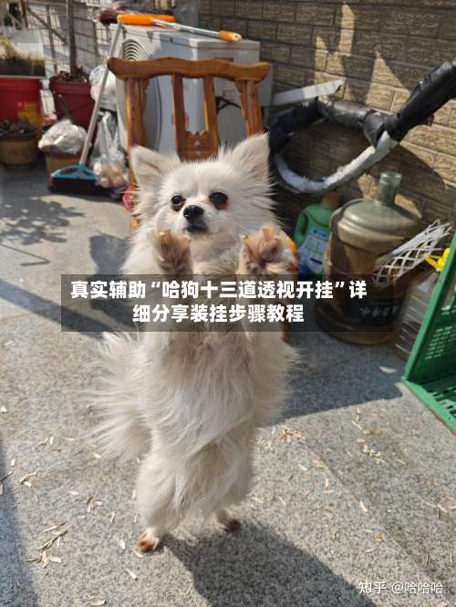 真实辅助“哈狗十三道透视开挂	”详细分享装挂步骤教程-第2张图片