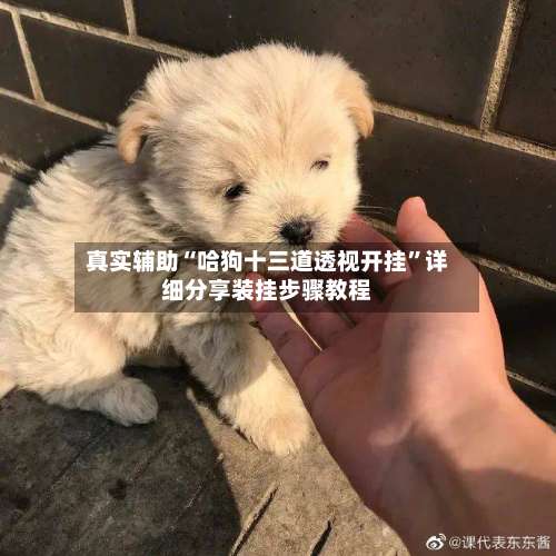 真实辅助“哈狗十三道透视开挂	”详细分享装挂步骤教程-第1张图片