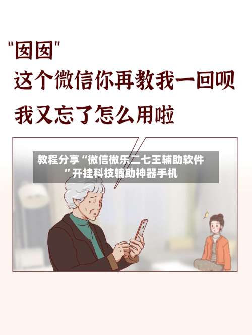 教程分享“微信微乐二七王辅助软件		”开挂科技辅助神器手机-第2张图片