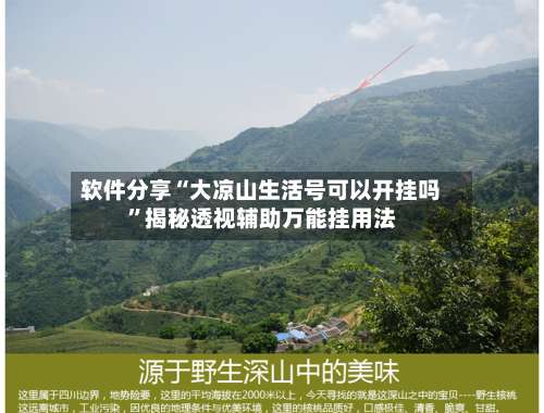 软件分享“大凉山生活号可以开挂吗	”揭秘透视辅助万能挂用法-第1张图片