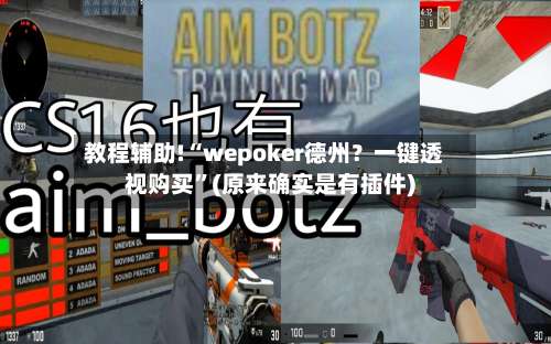 教程辅助!“wepoker德州？一键透视购买		”(原来确实是有插件)-第1张图片