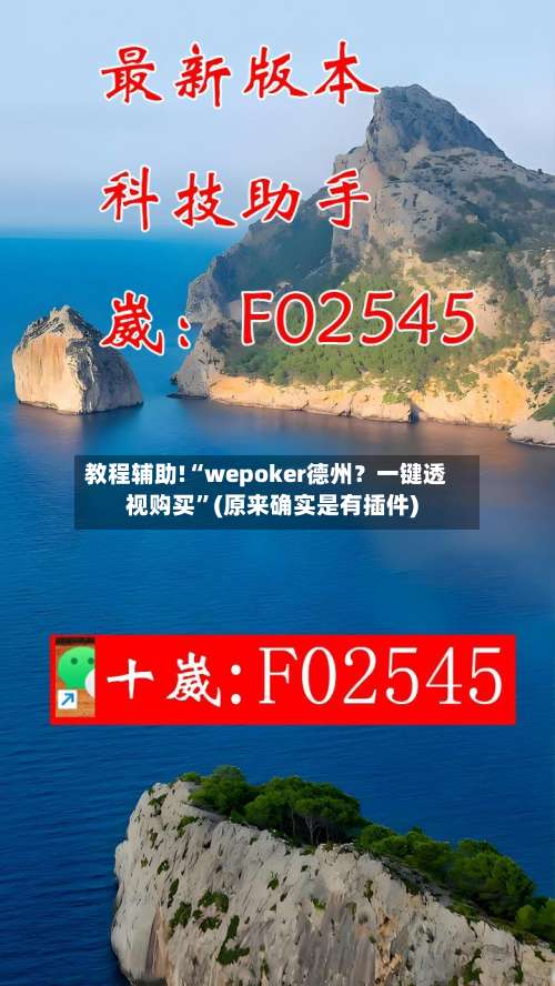 教程辅助!“wepoker德州？一键透视购买”(原来确实是有插件)-第2张图片