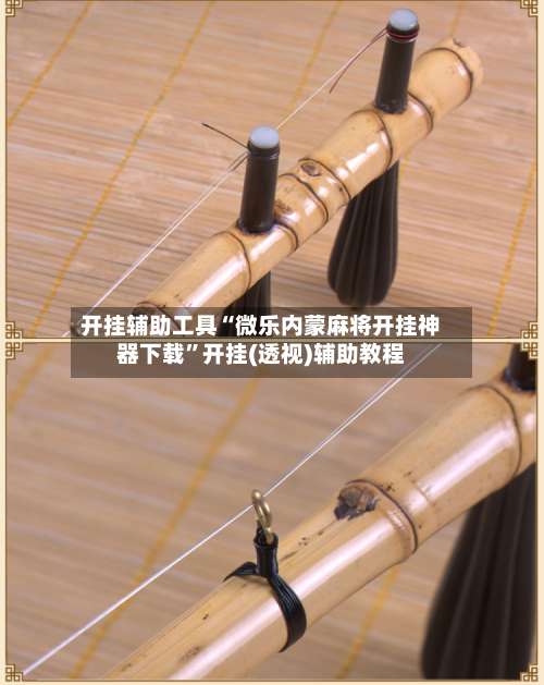开挂辅助工具“微乐内蒙麻将开挂神器下载	”开挂(透视)辅助教程-第3张图片