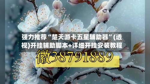强力推荐“楚天游卡五星辅助器”(透视)开挂辅助脚本+详细开挂安装教程-第3张图片