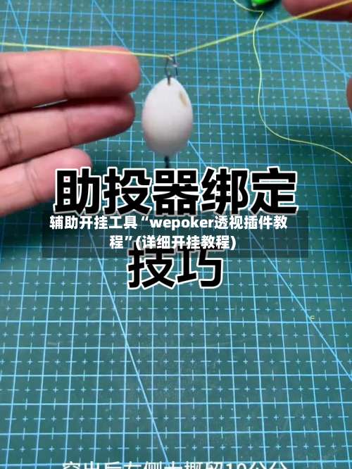 辅助开挂工具“wepoker透视插件教程”(详细开挂教程)-第3张图片