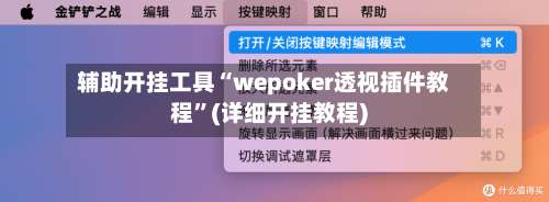 辅助开挂工具“wepoker透视插件教程”(详细开挂教程)-第2张图片