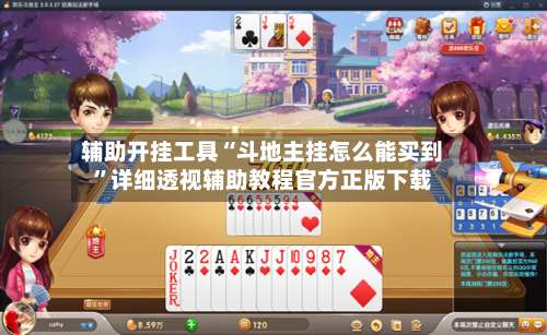 辅助开挂工具“斗地主挂怎么能买到”详细透视辅助教程官方正版下载-第1张图片