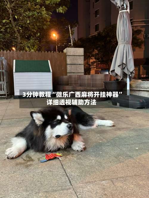 3分钟教程“微乐广西麻将开挂神器”详细透视辅助方法-第2张图片