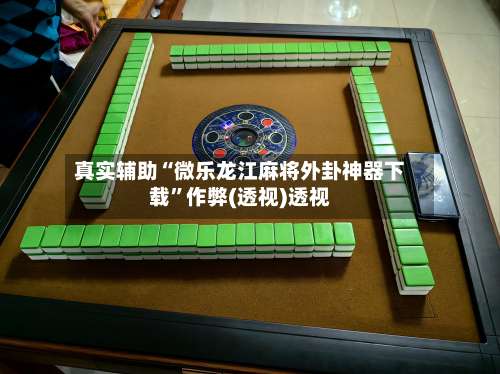 真实辅助“微乐龙江麻将外卦神器下载”作弊(透视)透视-第2张图片