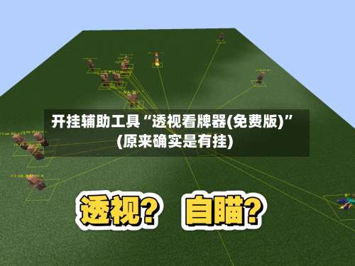 开挂辅助工具“透视看牌器(免费版)”(原来确实是有挂)-第3张图片