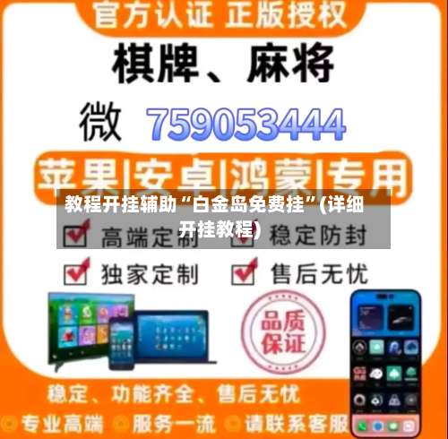 教程开挂辅助“白金岛免费挂”(详细开挂教程)-第1张图片