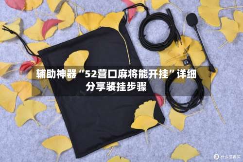 辅助神器“52营口麻将能开挂	”详细分享装挂步骤-第2张图片