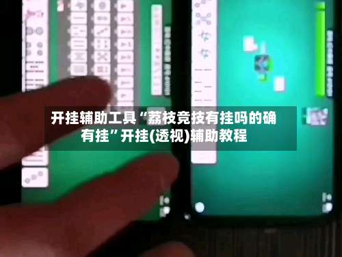 开挂辅助工具“荔枝竞技有挂吗的确有挂	”开挂(透视)辅助教程-第1张图片