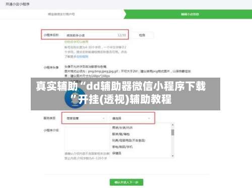 真实辅助“dd辅助器微信小程序下载”开挂(透视)辅助教程-第2张图片
