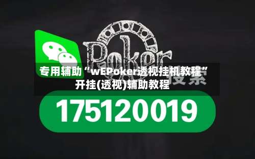 专用辅助“wEPoker透视挂机教程”开挂(透视)辅助教程-第3张图片