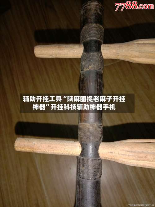 辅助开挂工具“陕麻圈捉老麻子开挂神器”开挂科技辅助神器手机-第2张图片