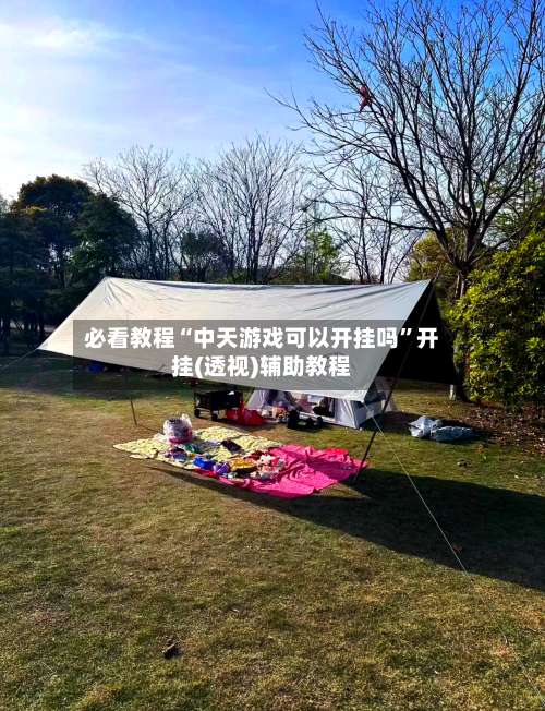 必看教程“中天游戏可以开挂吗”开挂(透视)辅助教程-第2张图片