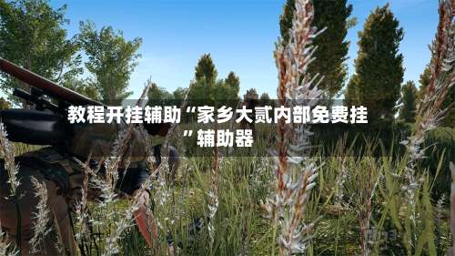 教程开挂辅助“家乡大贰内部免费挂”辅助器-第3张图片